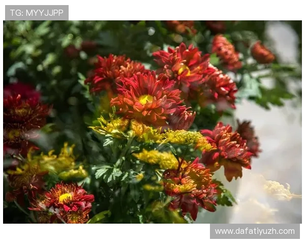 登陆大发娱乐平台官网，体验高品质的游戏环境和丰富的奖励机制，尽享娱乐盛宴