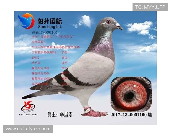 选择正规AG国际手机网址登录入口，保障账号安全和游戏体验，为每一位玩家保驾护航